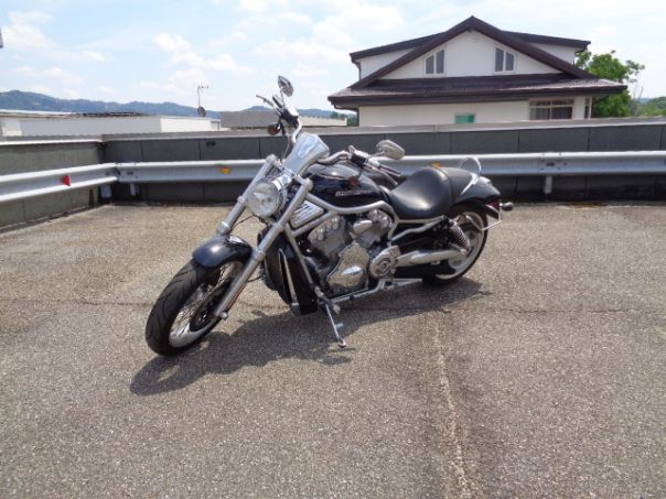 Harley Davidson V-Rod Harley Davidson V-Rod